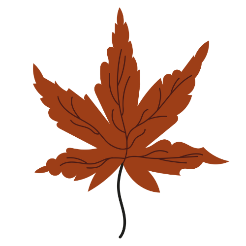 falling leaf